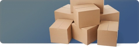 Package Management